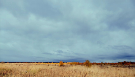 Similar image 6588456