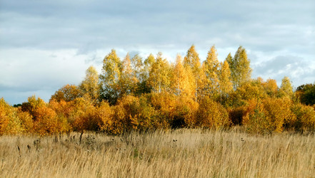 Similar image 6588459