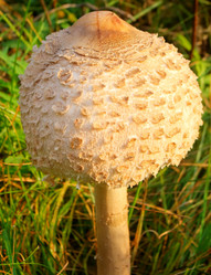 Similar image 6588714