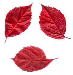 Similar image 6588715