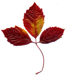 Similar image 6588716