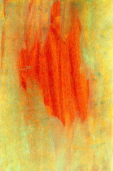 Similar image 6588717