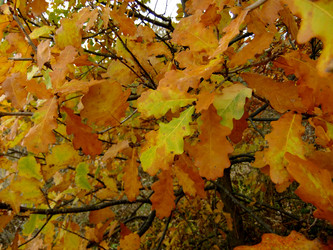 Similar image 6588730