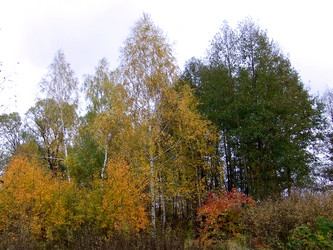 Similar image 6588731