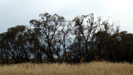 Similar image 6588732