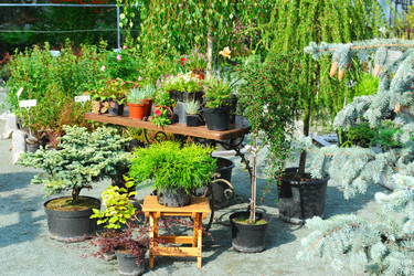 Similar image 6588838