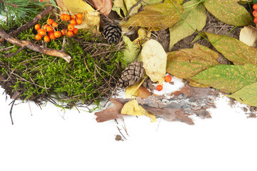 Similar image 6588844