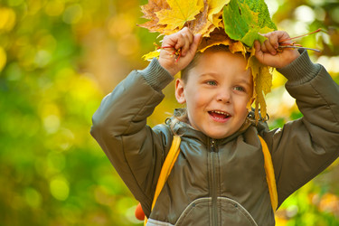 Similar image 6588864