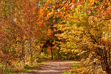 Similar image 6588893