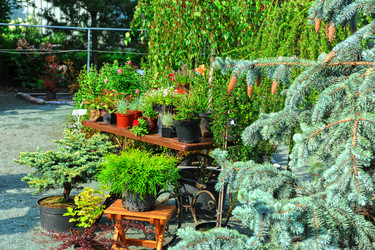 Similar image 6588928