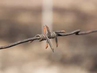 Similar image 6589377