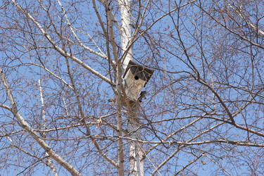 Similar image 6589378