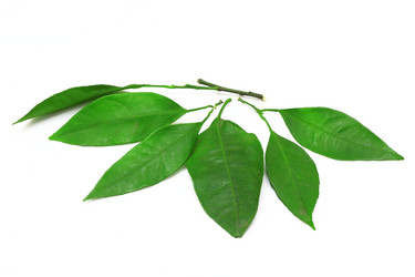 Similar image 6589421