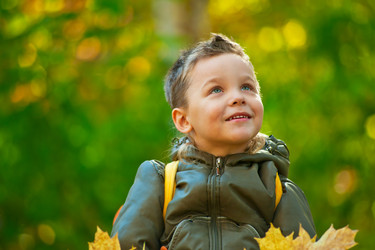 Similar image 6589688