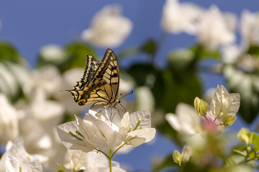 Similar image 6602473