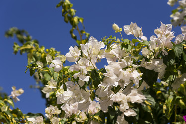 Similar image 6602474