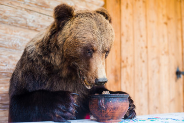 Similar image 6602481