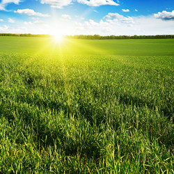 Similar image 6602482