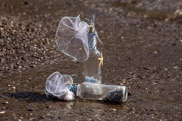 Similar image 6602491