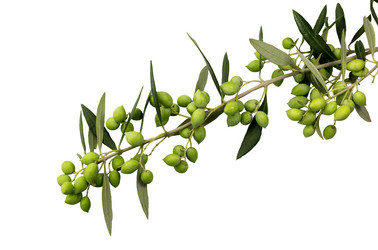 Similar image 6602492