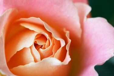 Similar image 6602497