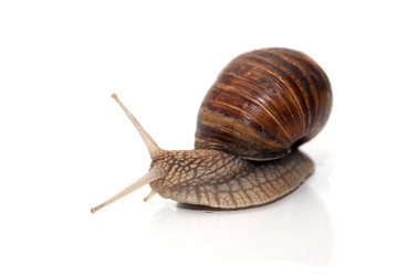 Similar image 6602839