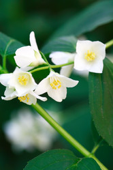 Similar image 6602842