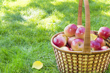 Similar image 6602848