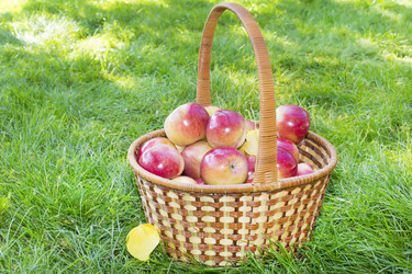 Similar image 6602849