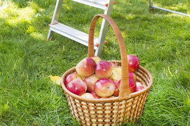 Similar image 6602852