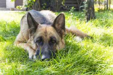 Similar image 6602857