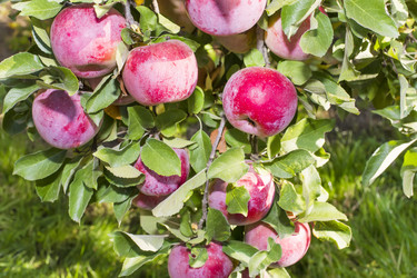 Similar image 6602858