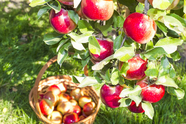 Similar image 6602859