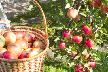 Similar image 6602861