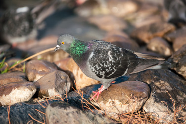 Similar image 6602933