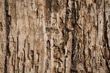 Similar image 6602939