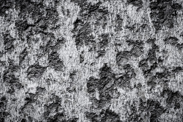 Similar image 6602951