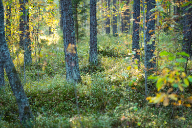 Similar image 6602957