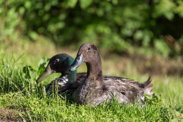 Similar image 6602965