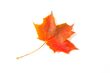 Similar image 6602968