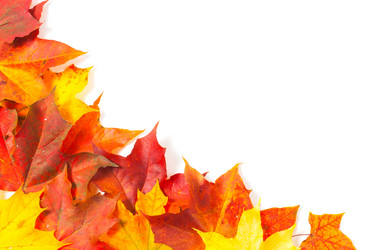 Similar image 6602970