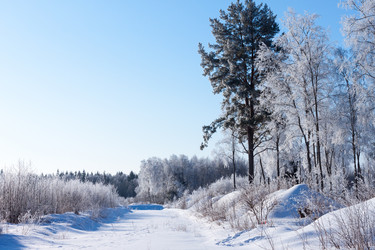 Similar image 6602974