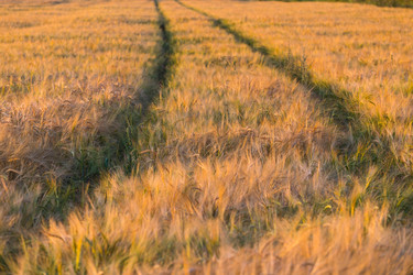 Similar image 6602975