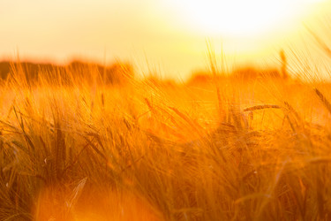 Similar image 6602979