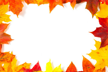 Similar image 6602985