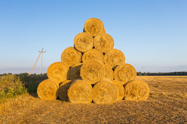 Similar image 6603026