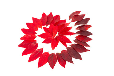 Similar image 6603038