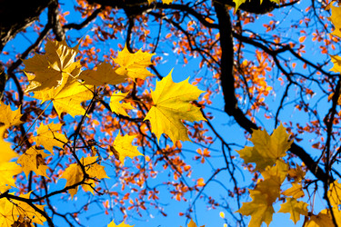 Similar image 6603052