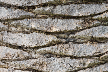 Similar image 6603076