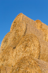 Similar image 6603087